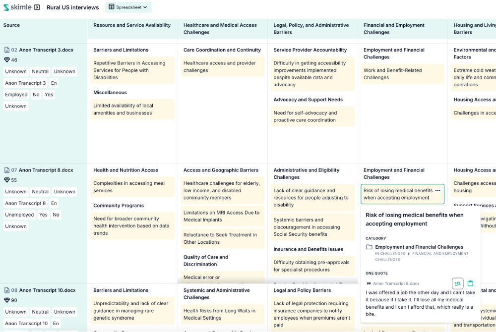 Display of Skimle spreadsheet view